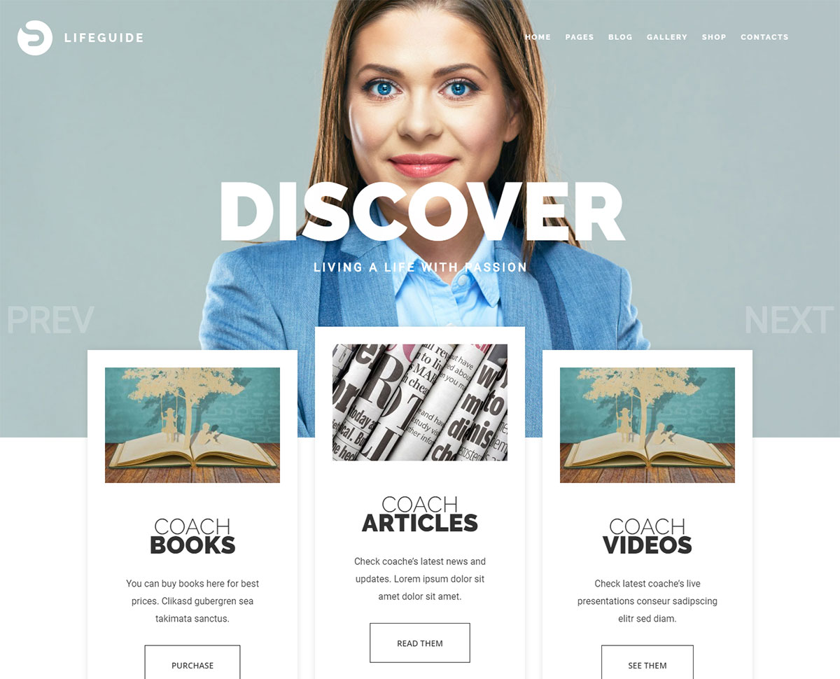 speaker WordPress themes